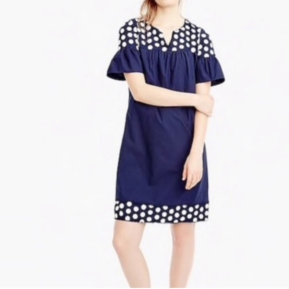 J. Crew Navy and White Polka Dot Dress
